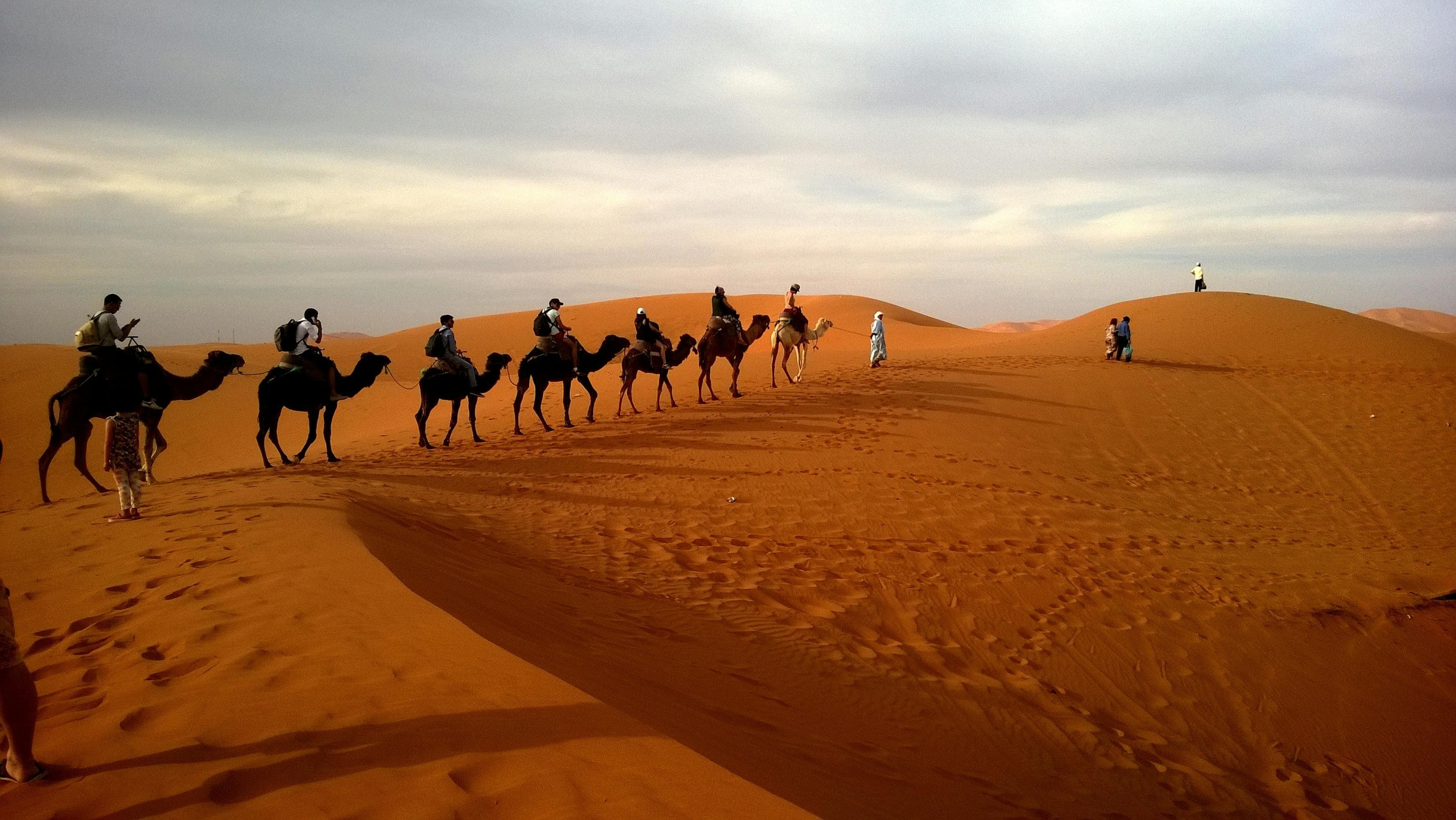 Morocco Sahara